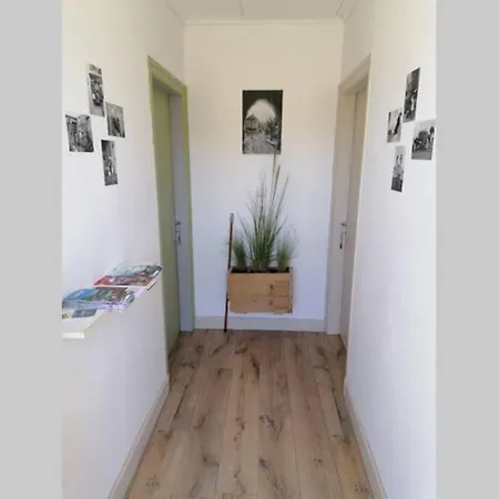 Location Lac De Pareloup Olive * Salles-Curan