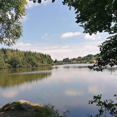 Апартаменты Location Lac De Pareloup Olive